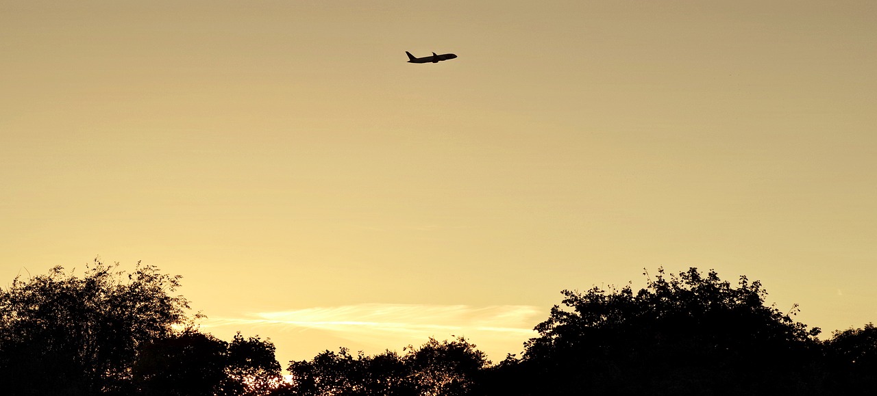 the plane evening sky evening free photo