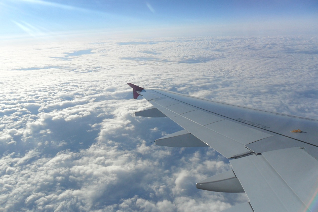 the plane flight skies free photo