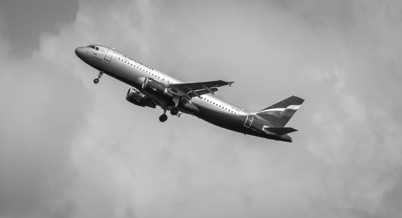 the plane boeing aeroflot free photo