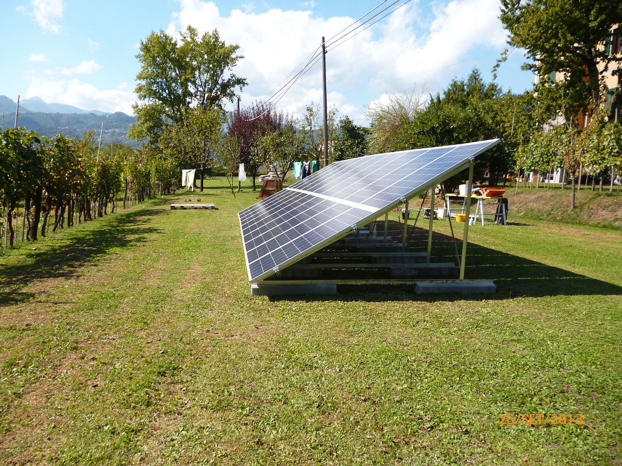 the plant to the ground pv energy saving free photo