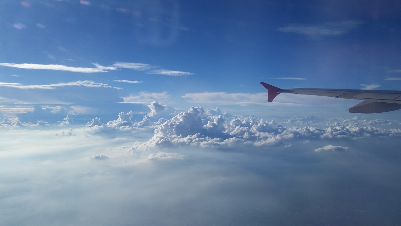 the plants airplane cloud free photo