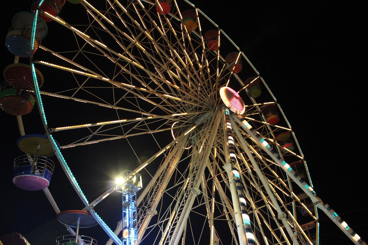 the player amusement park ferris wheel free photo