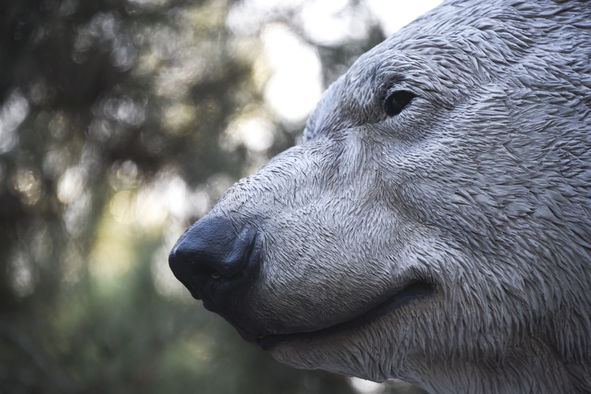 polar bear statue free photo