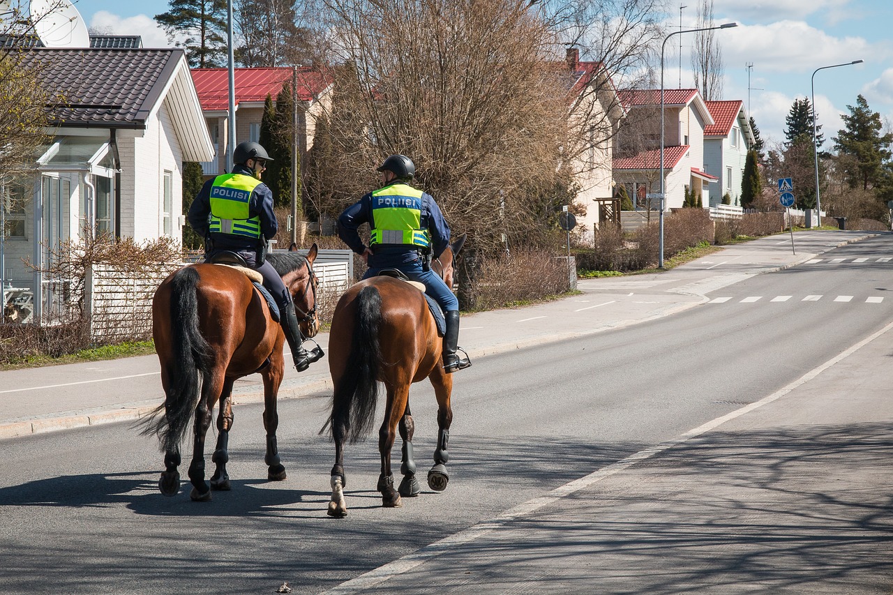 the police finnish mounted police free photo