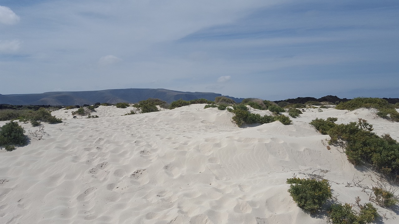 the pools beach lanzarote free photo