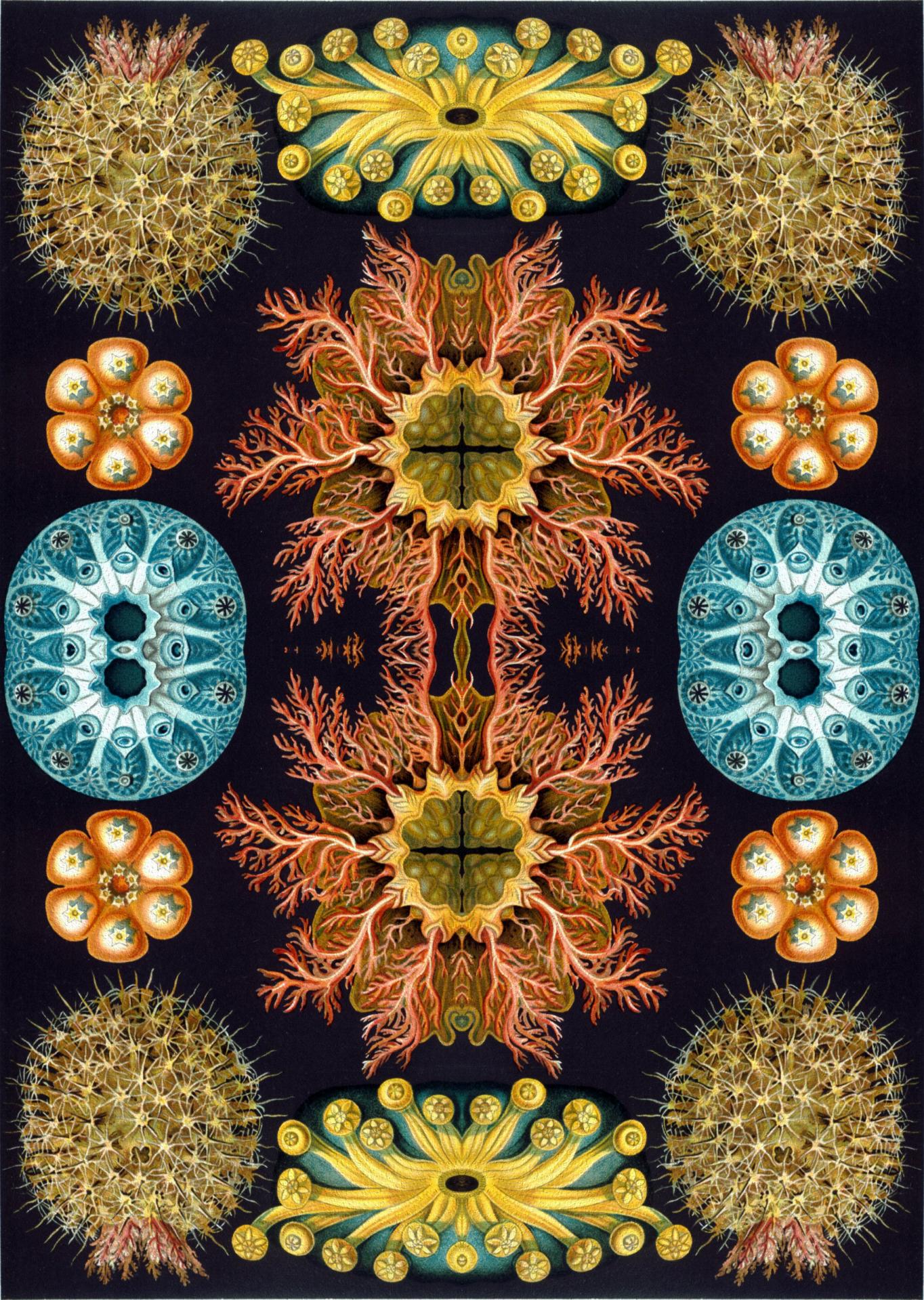 kaleidoscope abstract mandala free photo