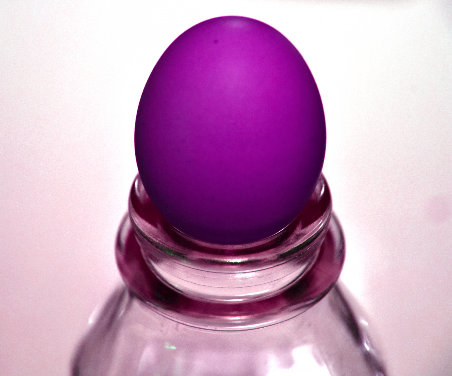 purple egg easter free photo