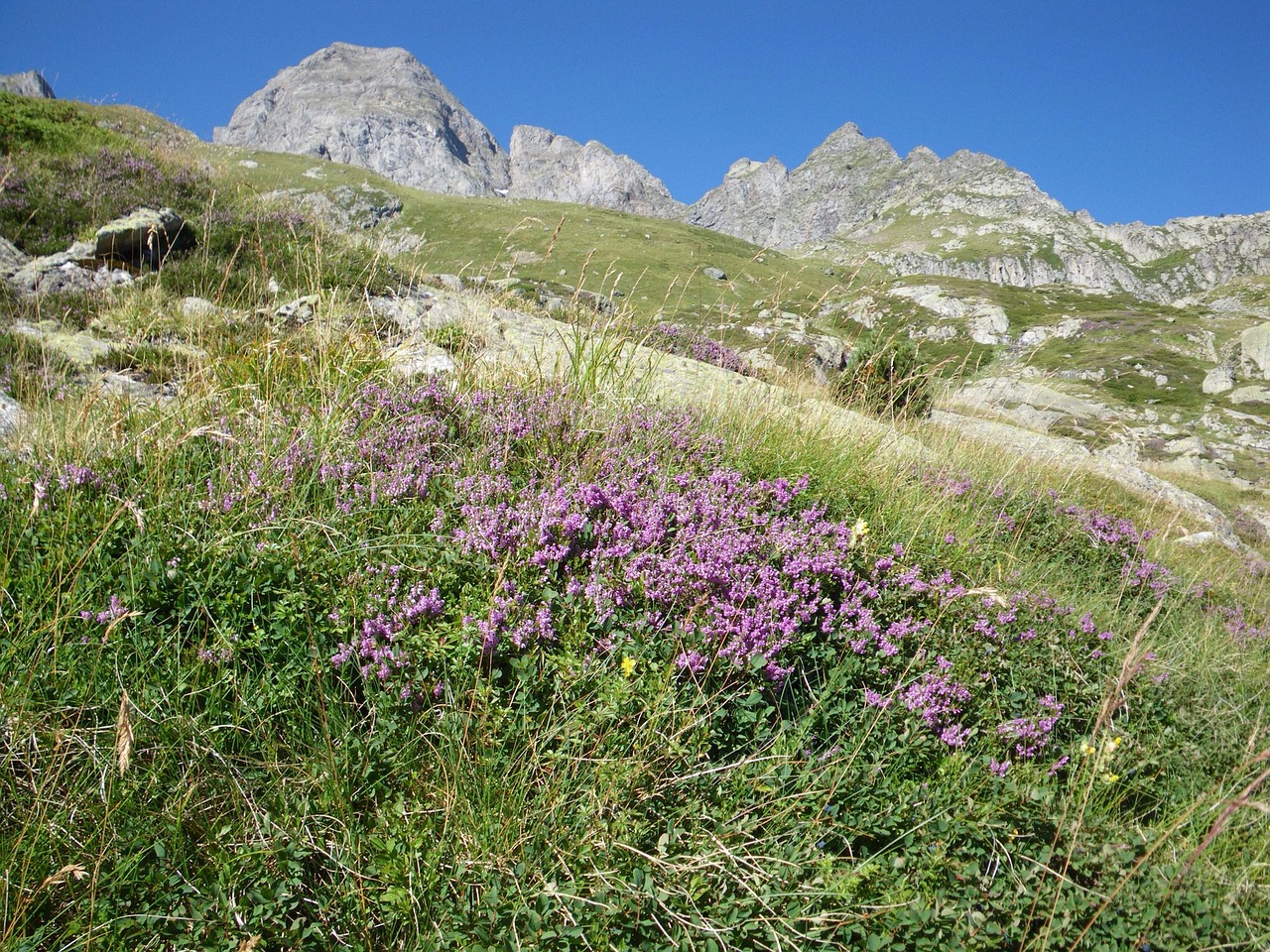 the pyrenees mountains landscape free photo