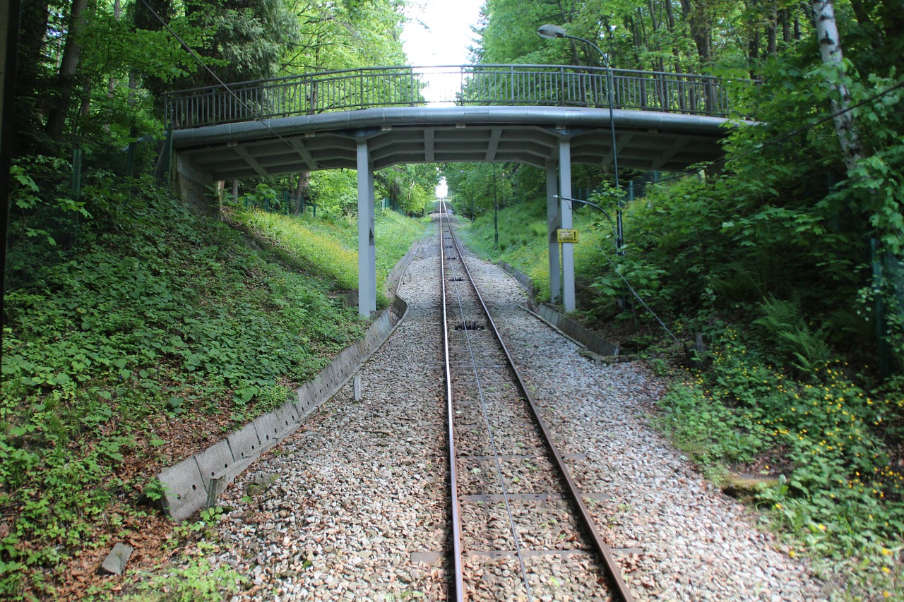 the queue tracks mountains free photo