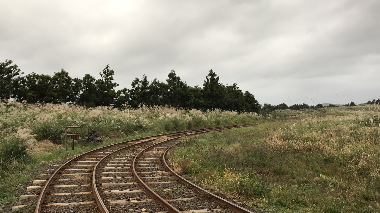 the railroad line  reed  wind free photo