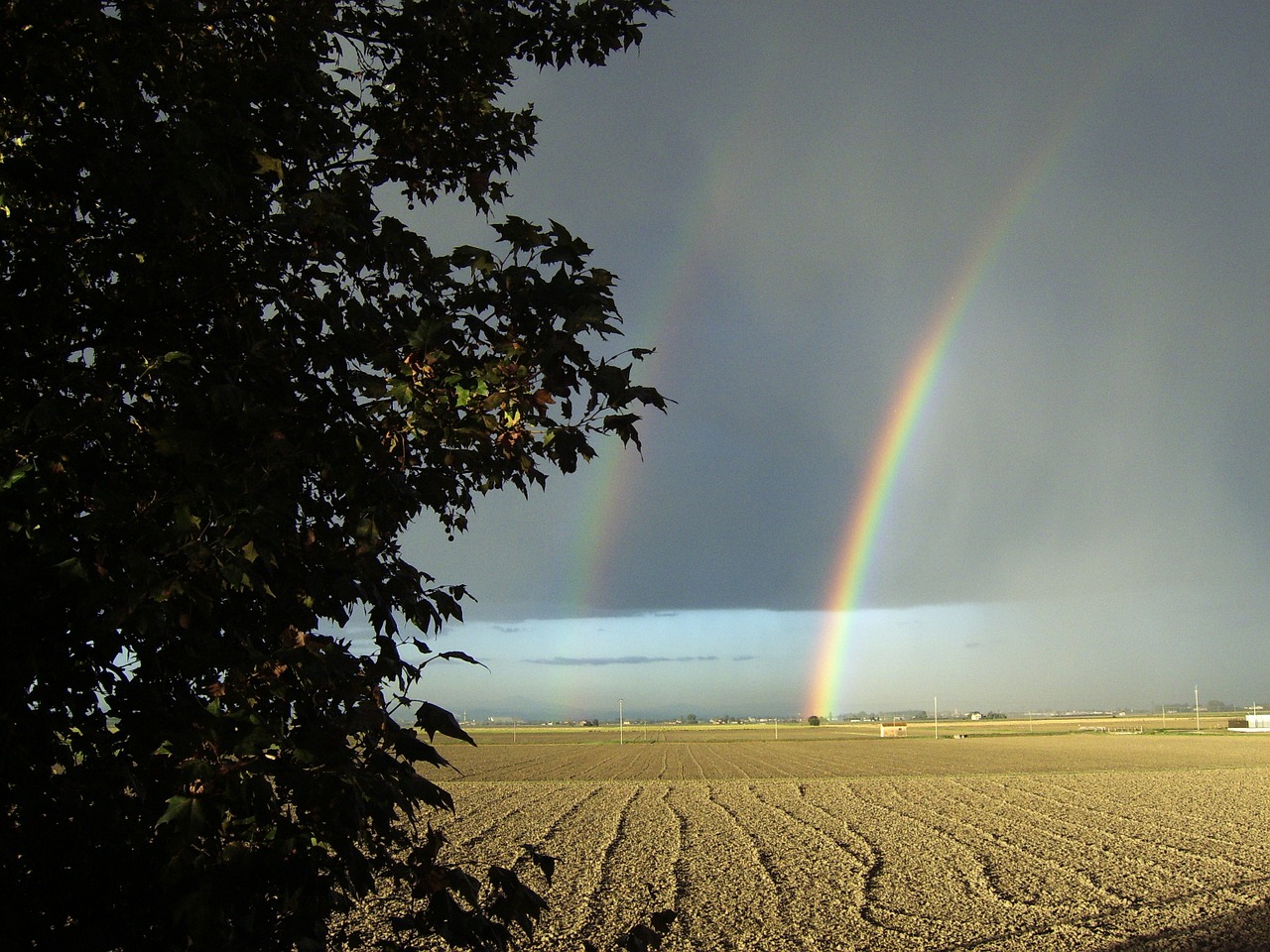 the rainbow campaign gray sky free photo