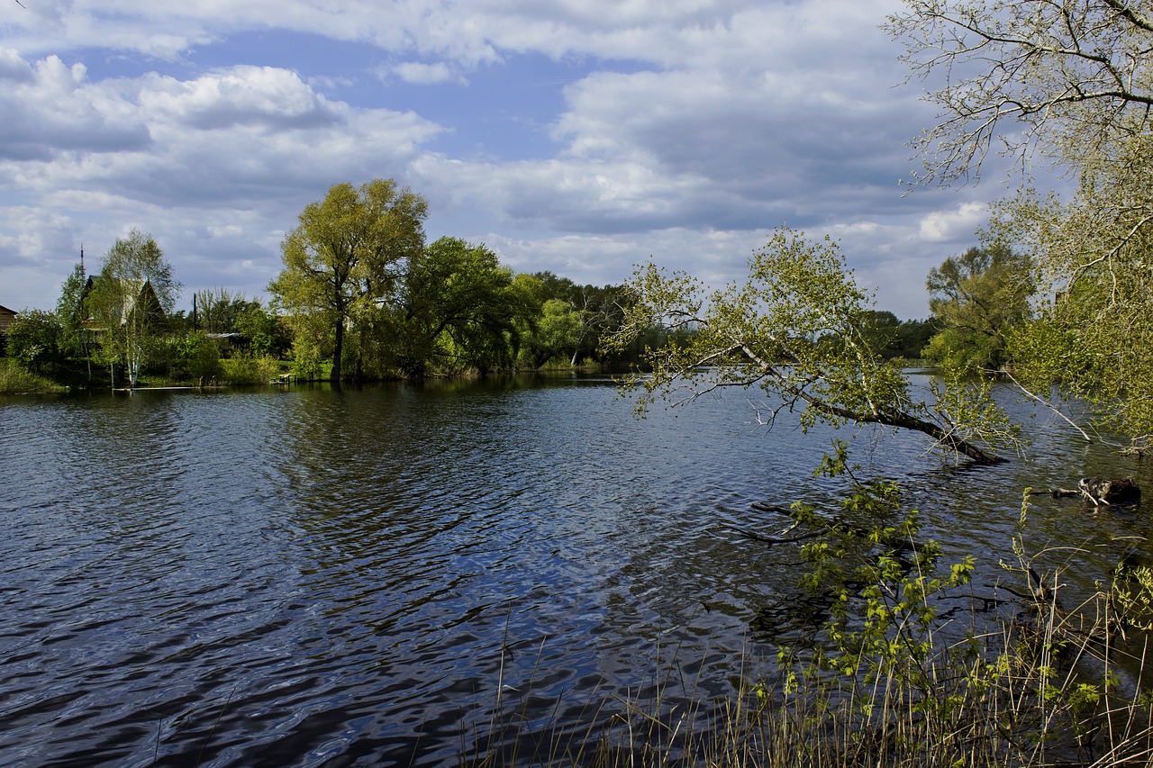 the river tobol spring flood free photo