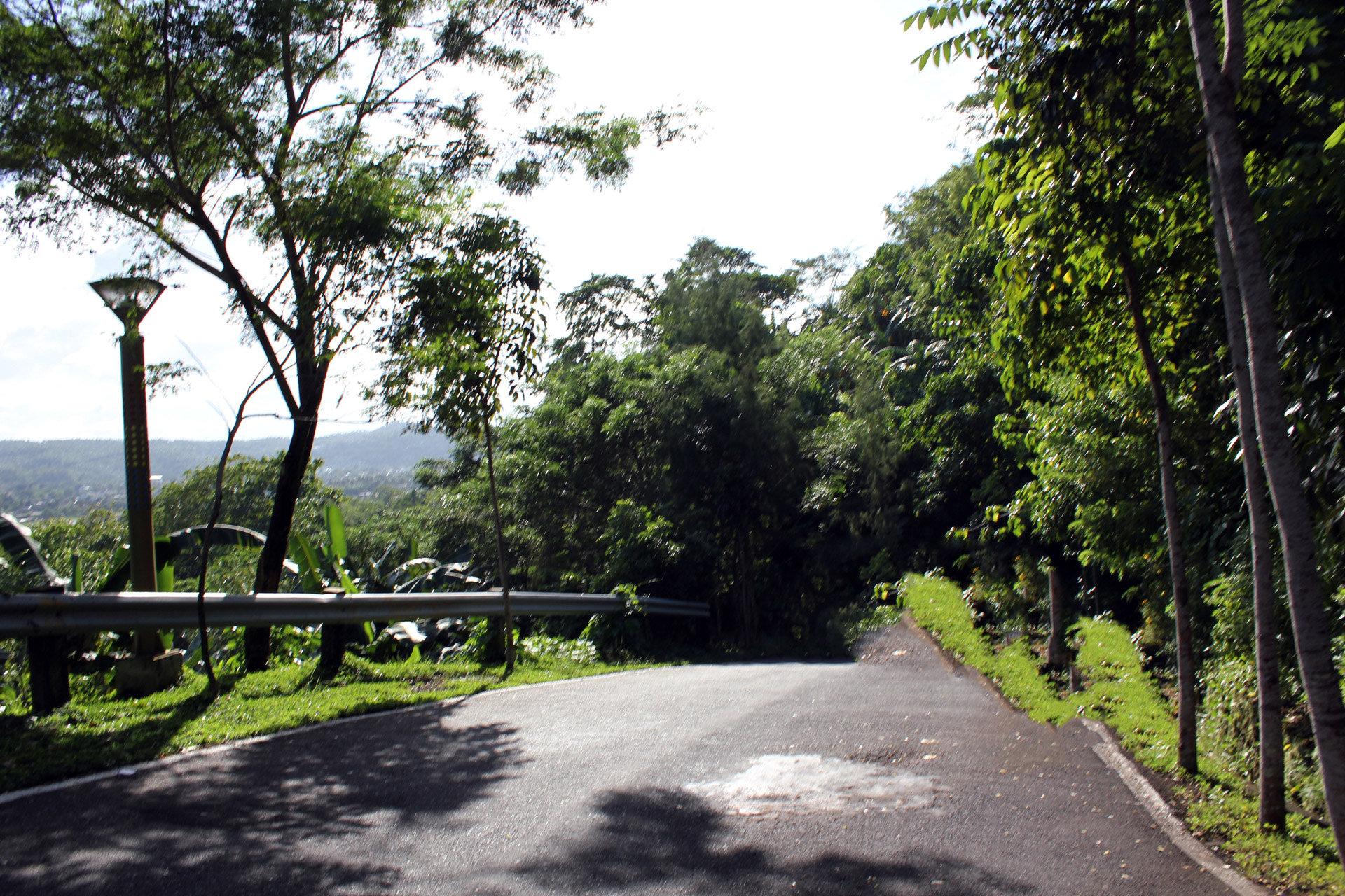 road lines travel free photo