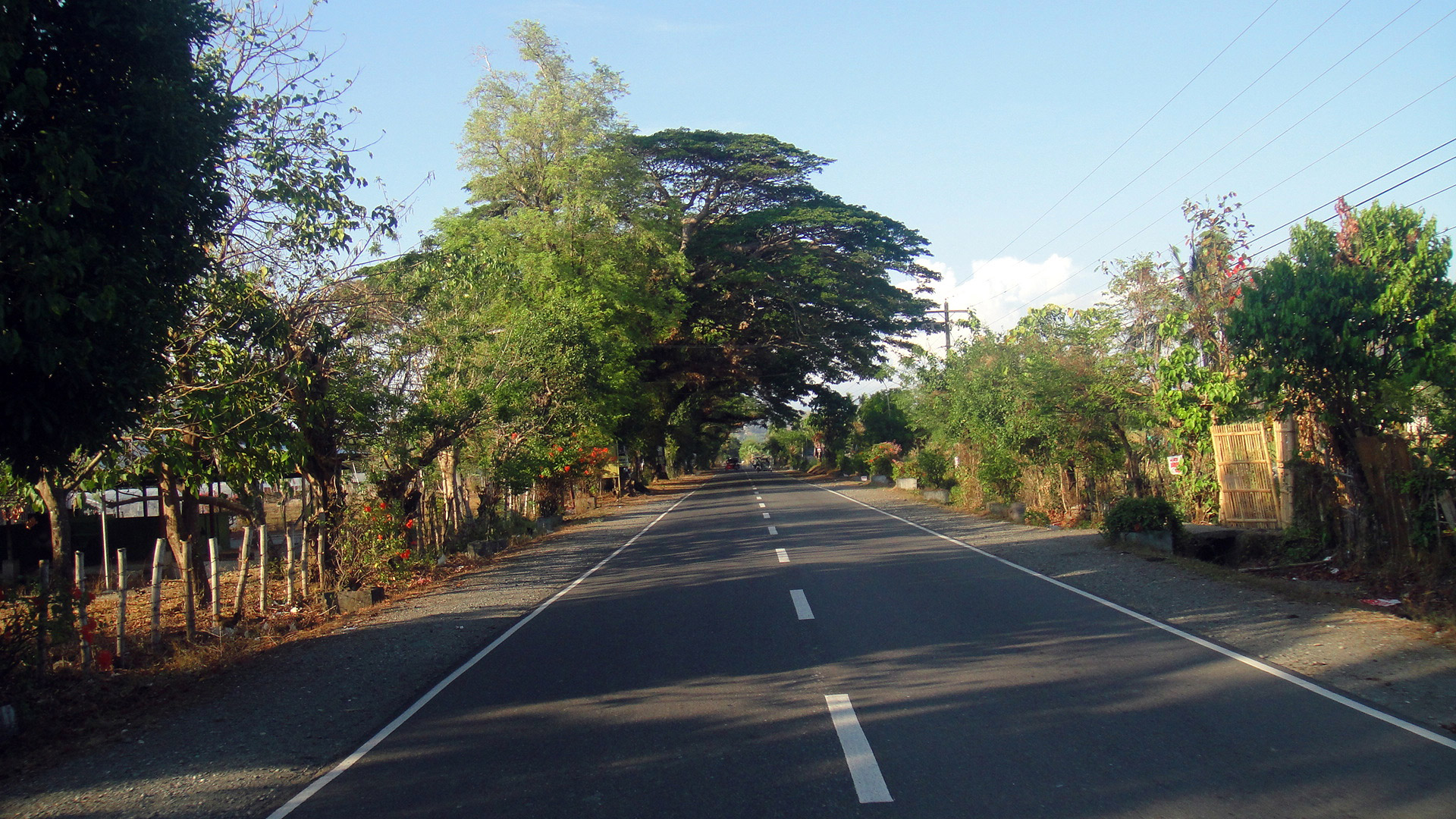 road lines travel free photo