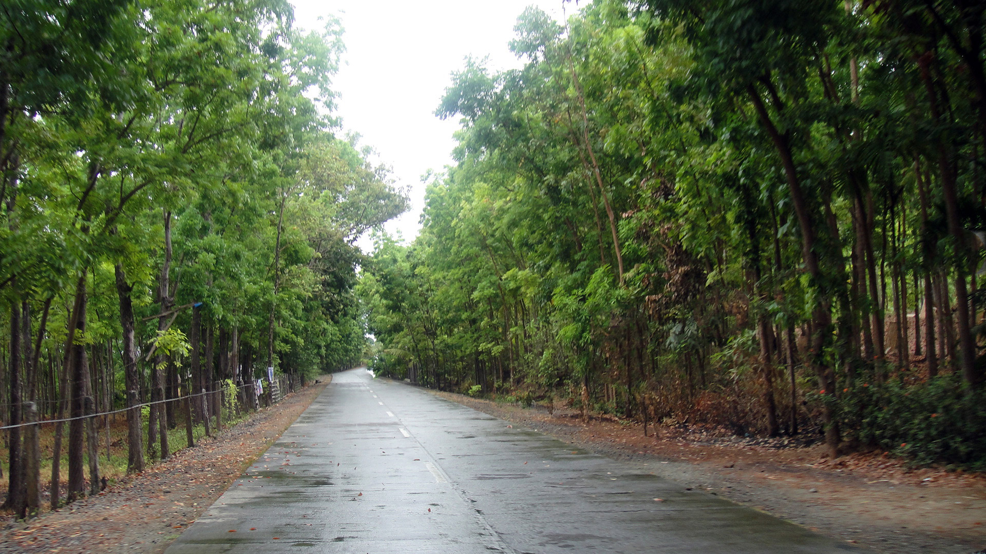 road lines travel free photo