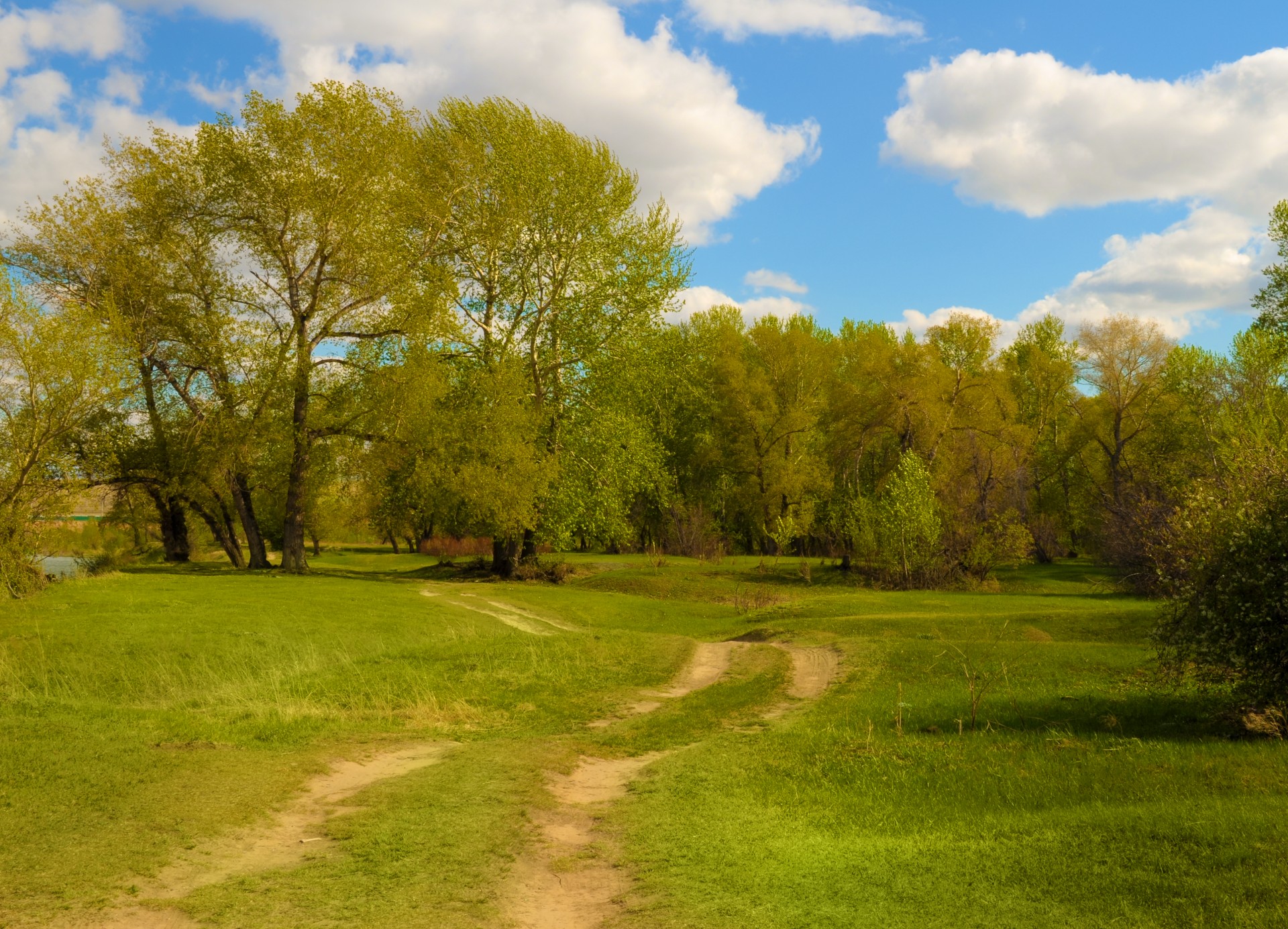 road footpath landscape free photo