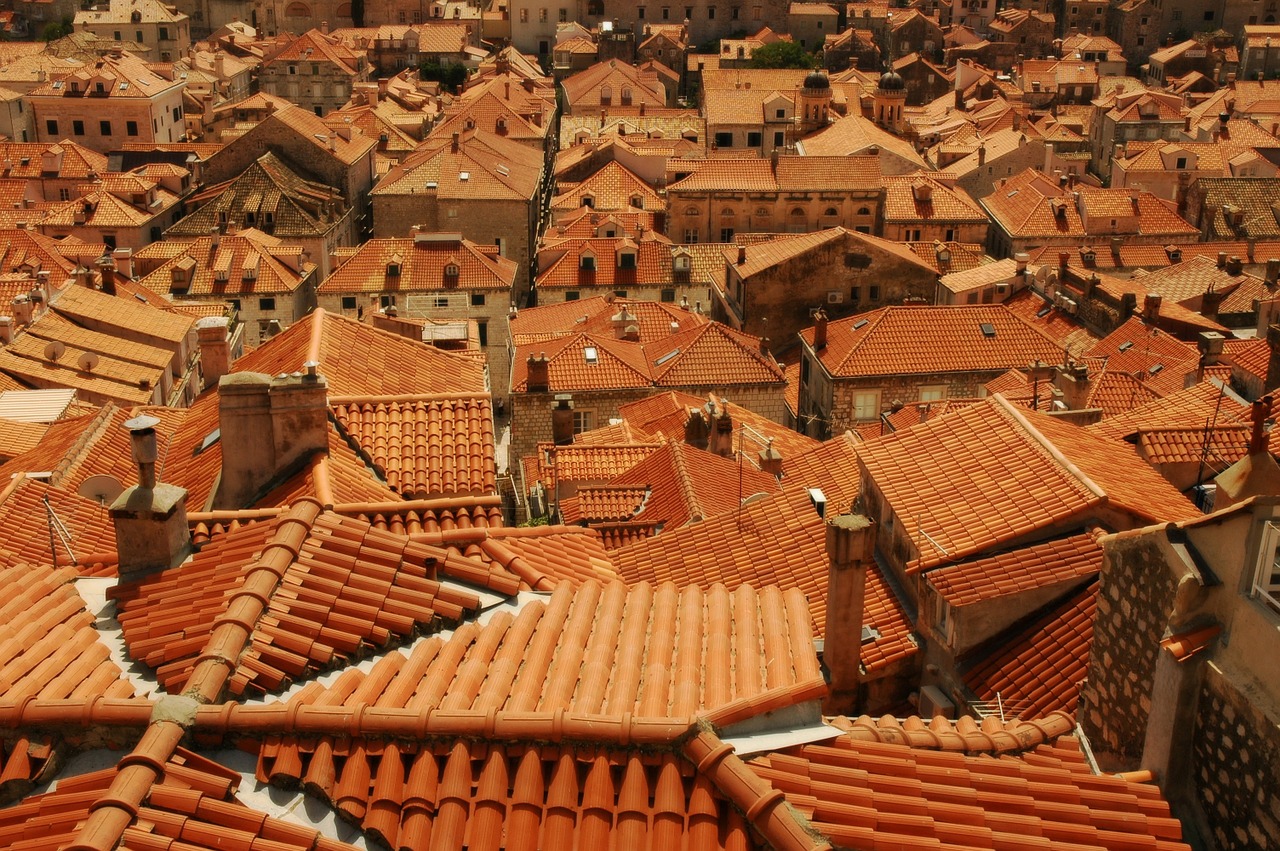the roofs tiles red free photo