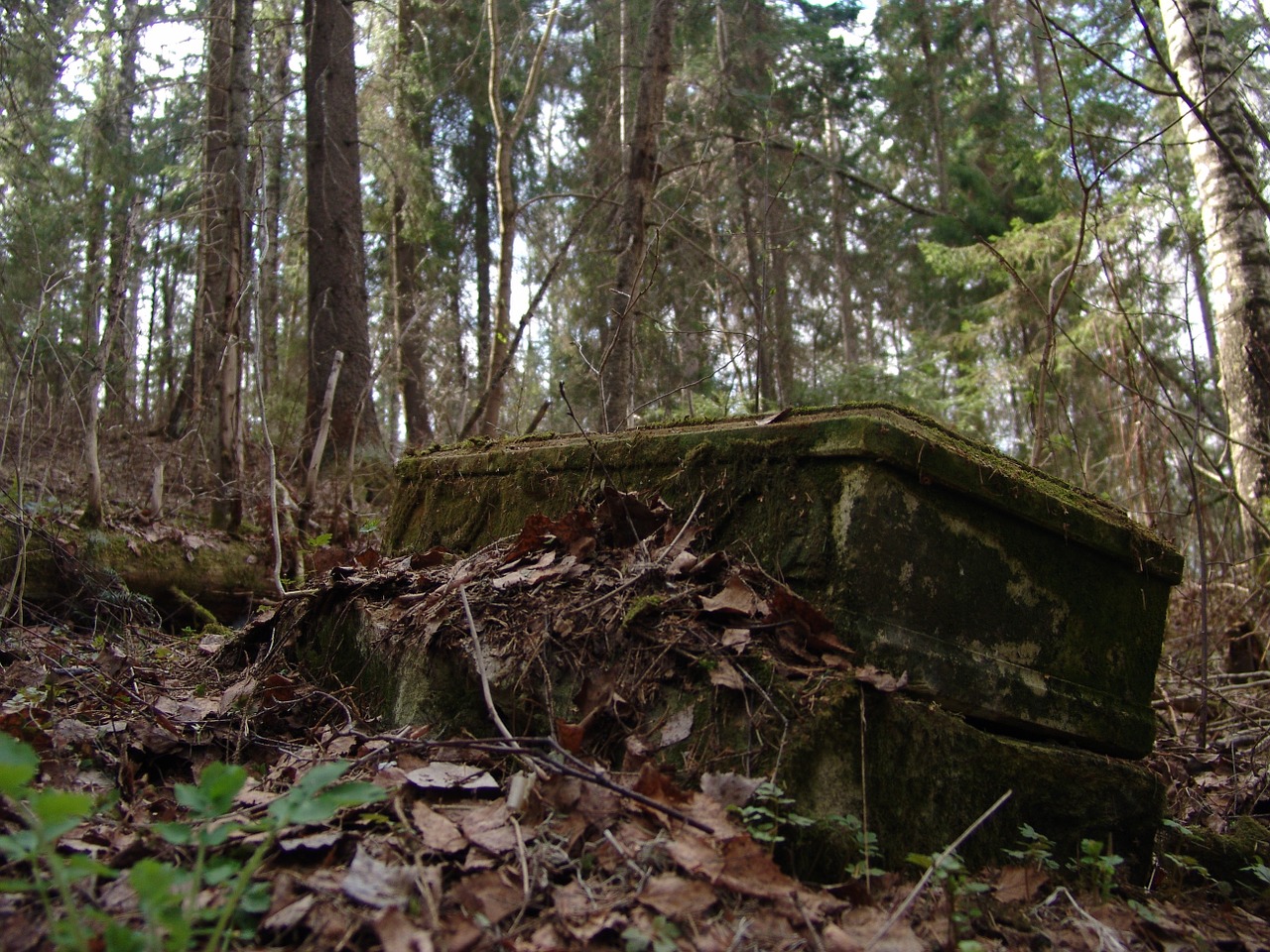 the ruins of the church forest free photo