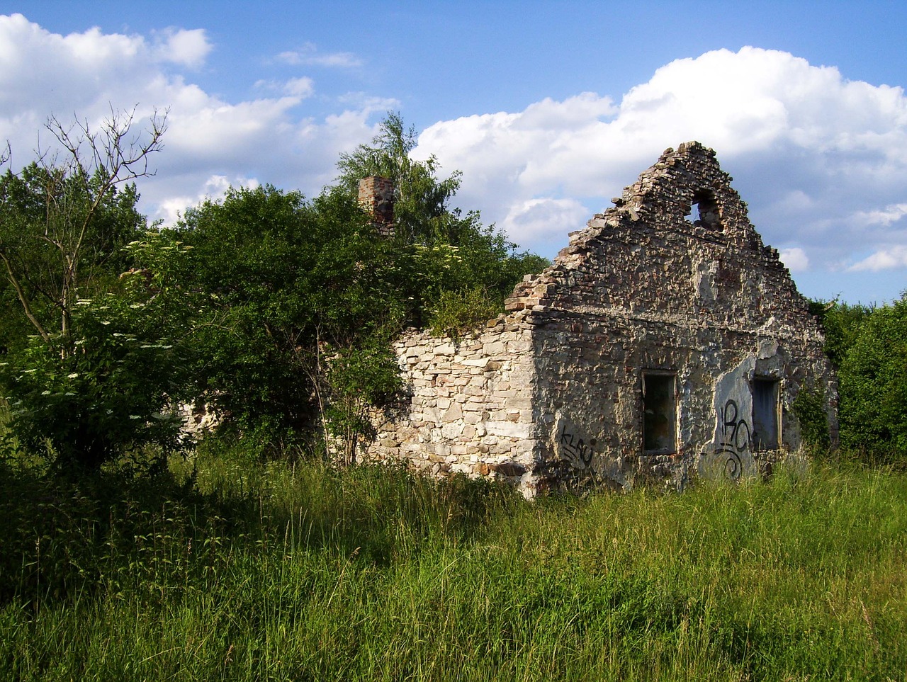 the ruins of the scrubs ivy free photo