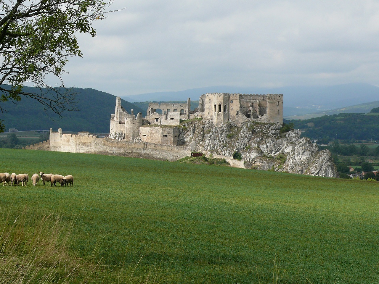 the ruins of the beckov castle free photo