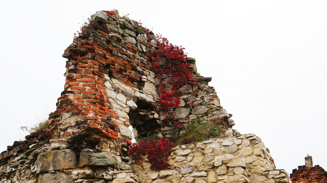 the ruins of the castle view free photo