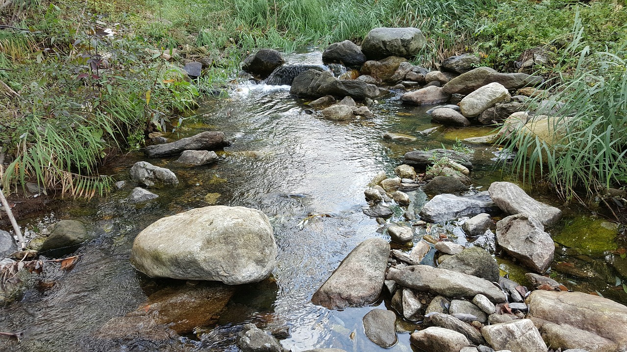the rural brook the creek streams free photo