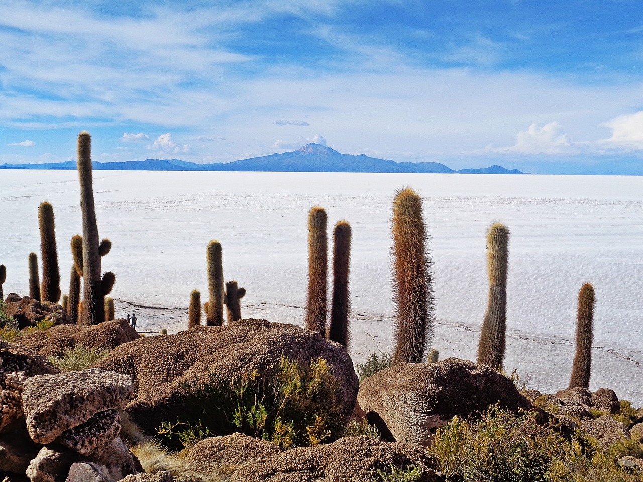 the salar de uyuni uyuni salt desert free photo