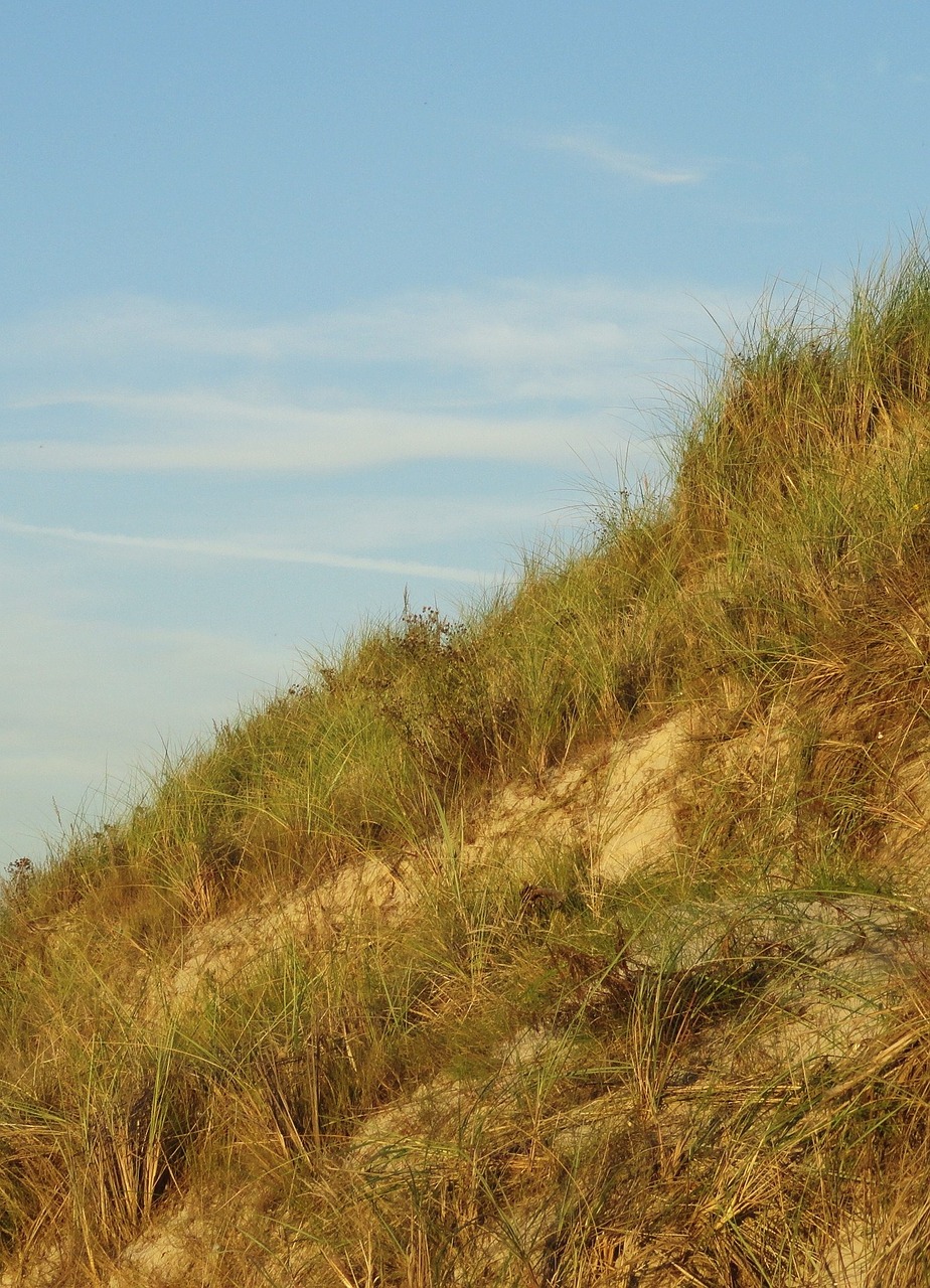 the sand dunes the baltic sea sea free photo