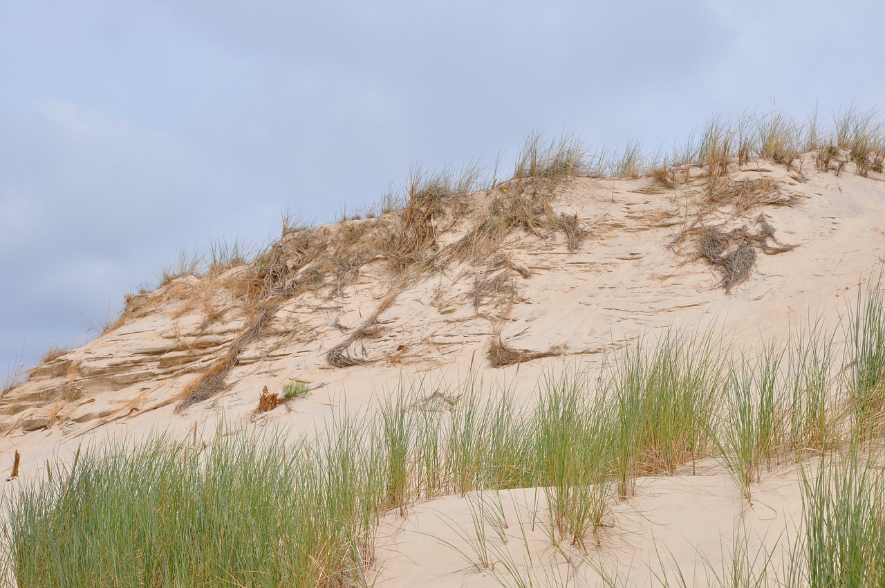 the sand dunes the mobile dune the coast free photo