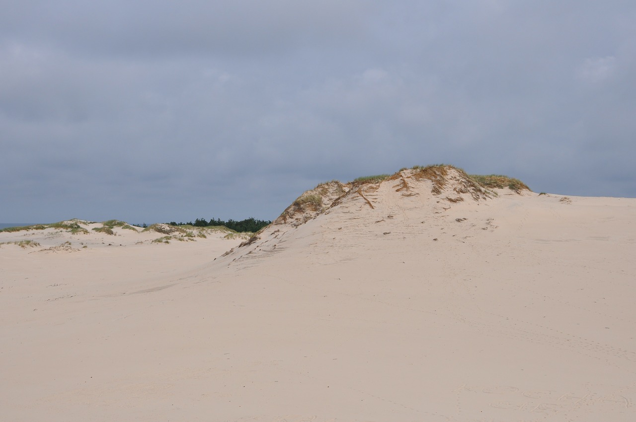 the sand dunes moving dunes the mobile dune free photo