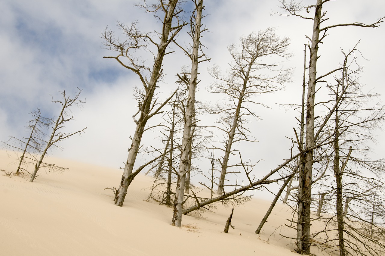 the sand dunes łeba holidays free photo