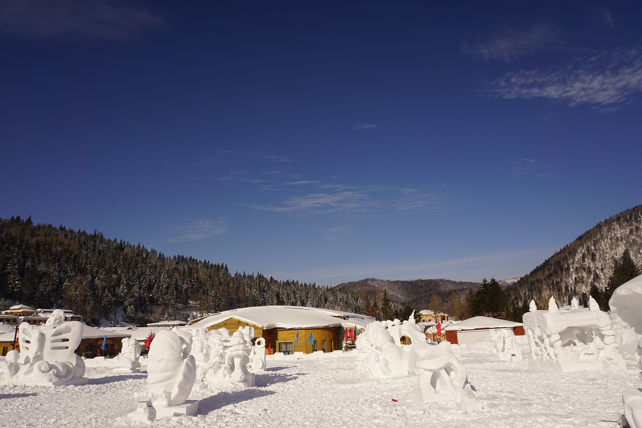 the scenery winter snow free photo