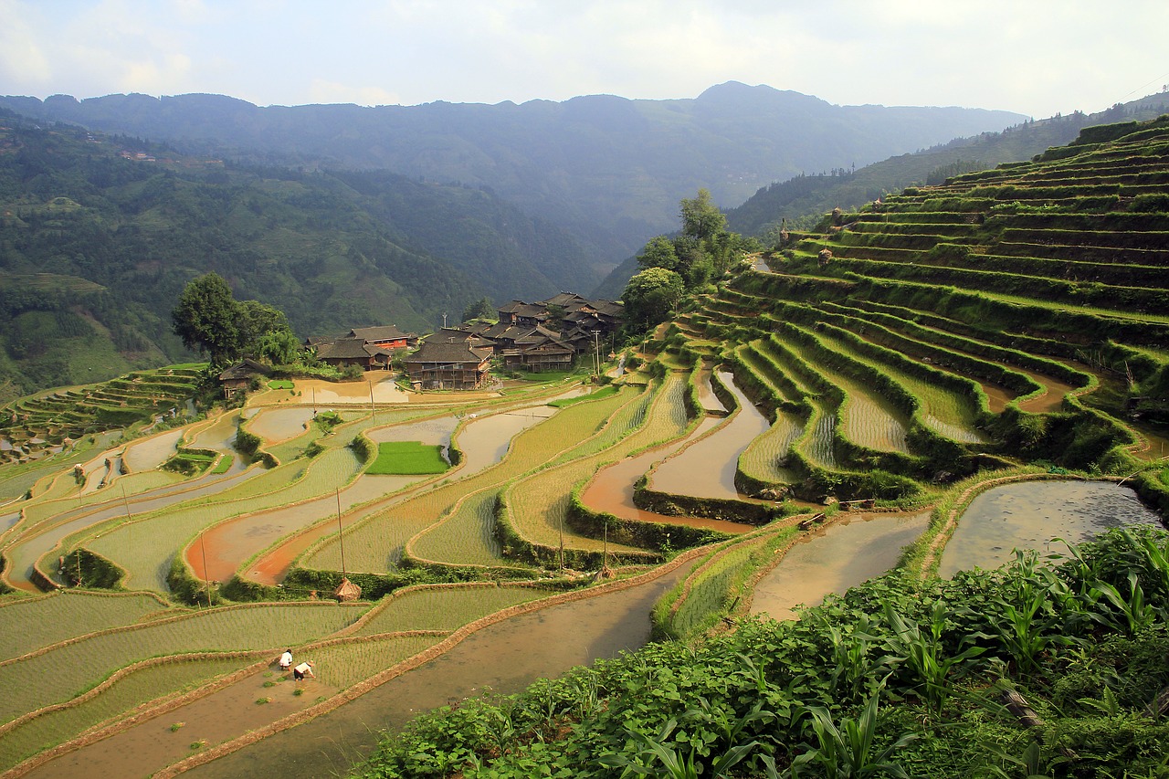 the scenery terrace nature free photo