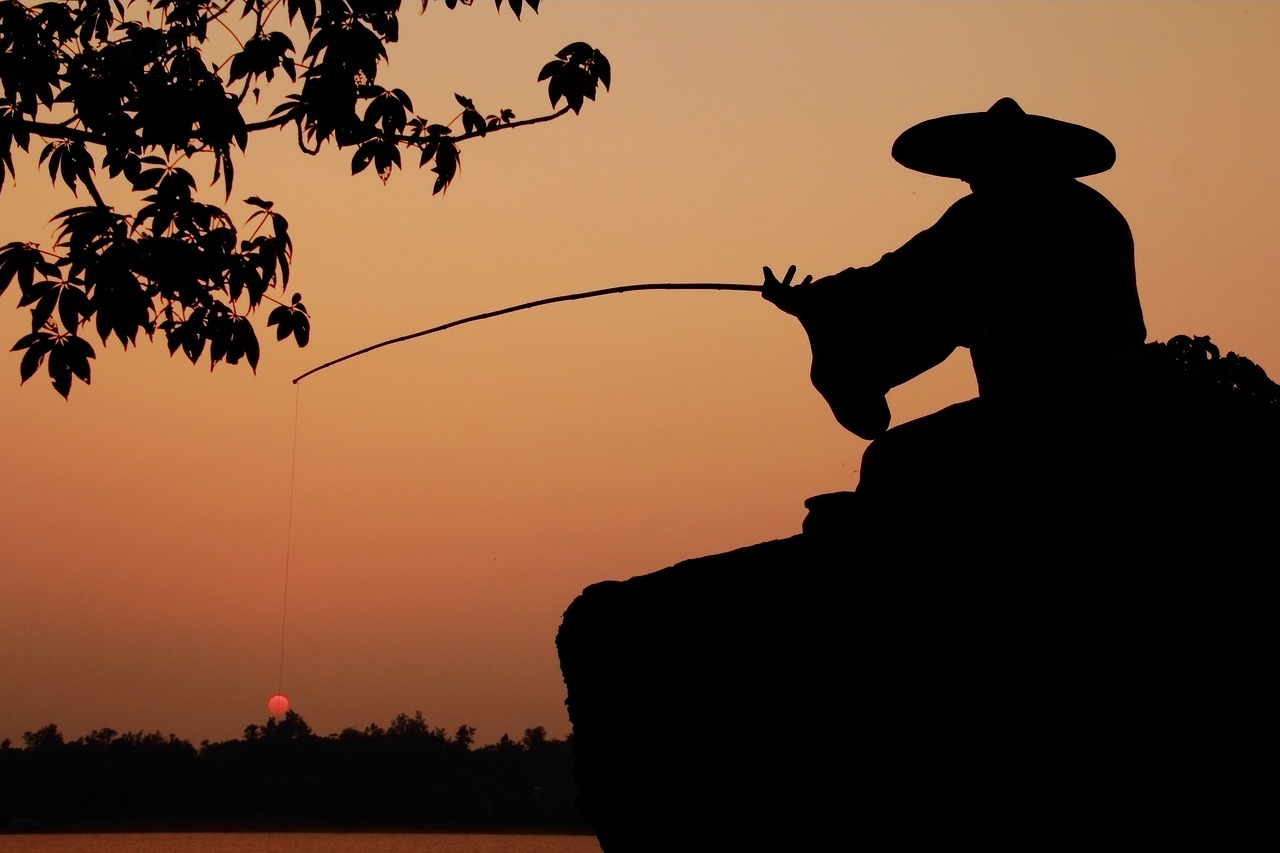 the scenery nature silhouette free photo