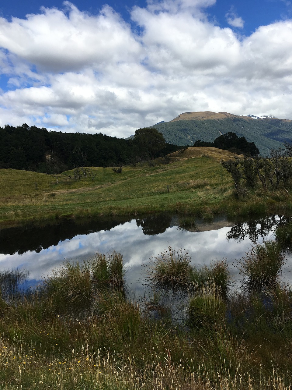 the scenery new zealand the rings free photo