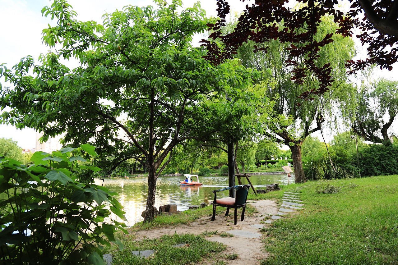 the scenery green summer free photo