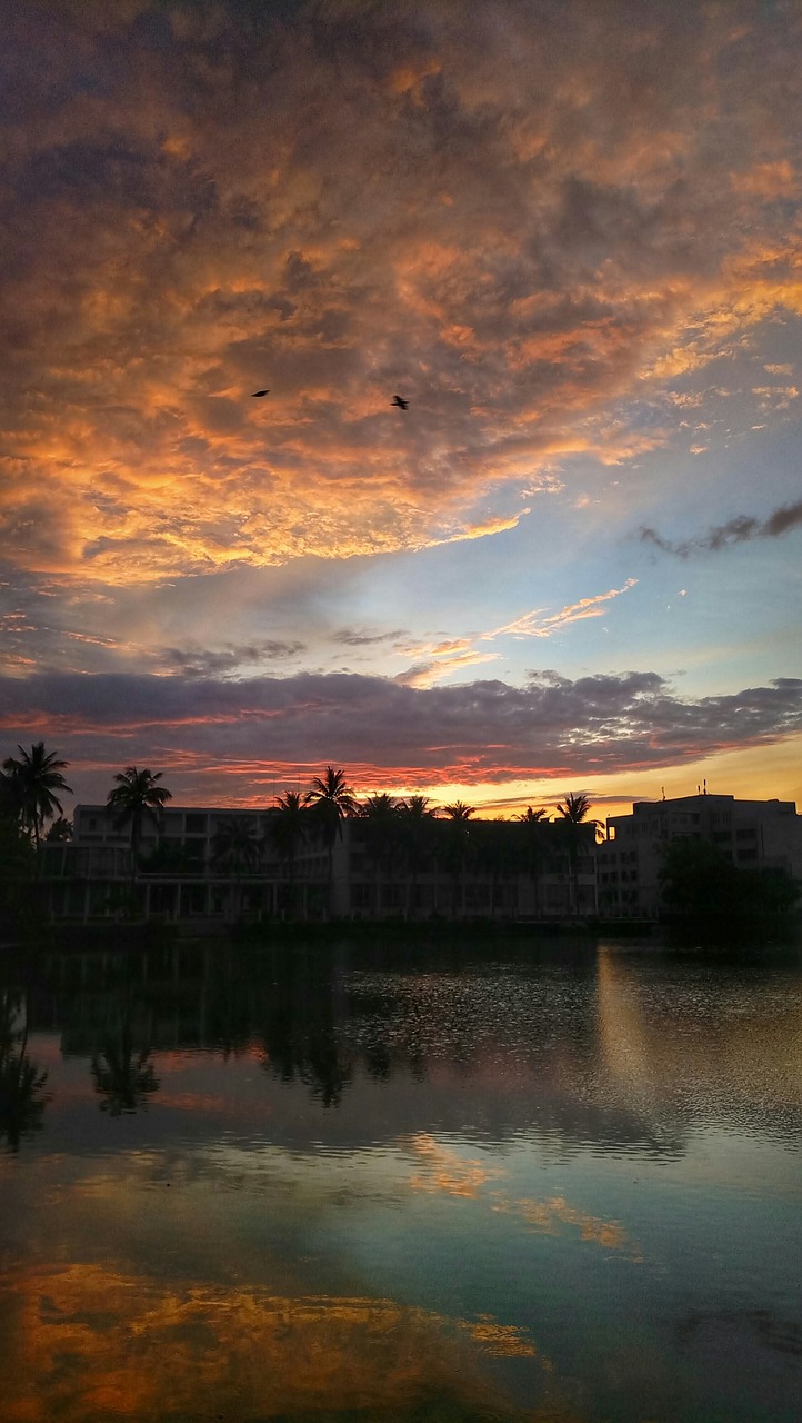 the scenery sky cloud free photo