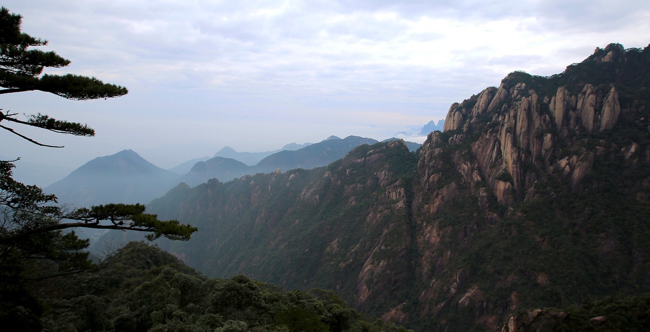 the scenery mountain pine mist free photo