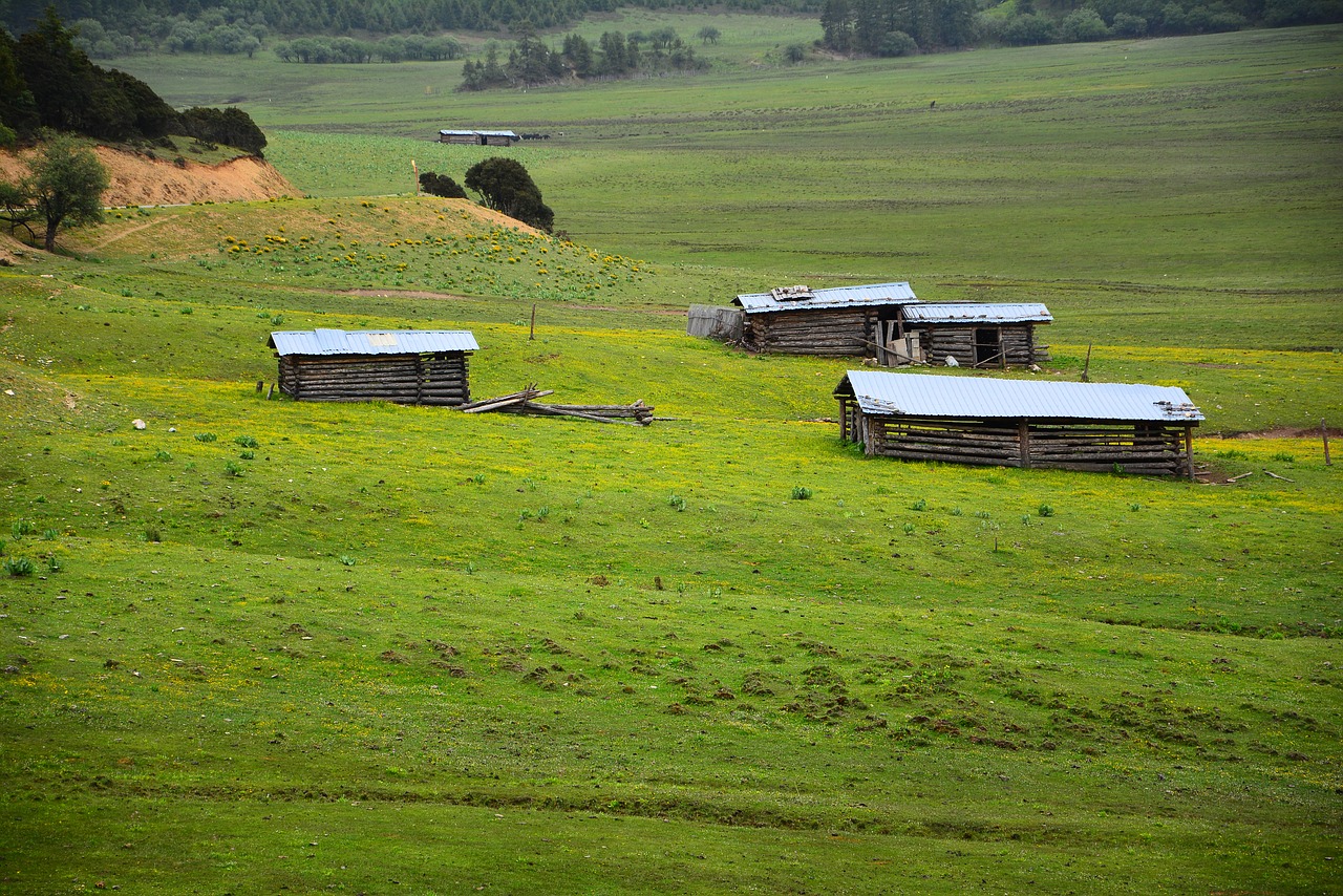 the scenery shangri-la's pudacuo free photo