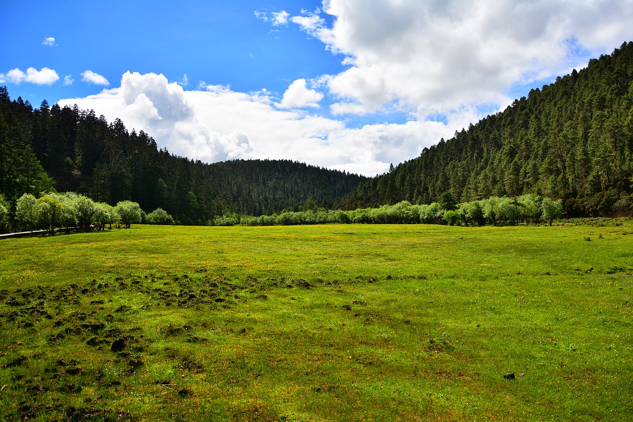 the scenery shangri-la's pudacuo free photo