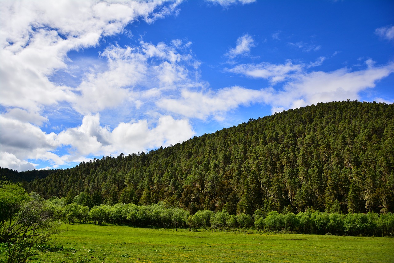 the scenery shangri-la's pudacuo free photo