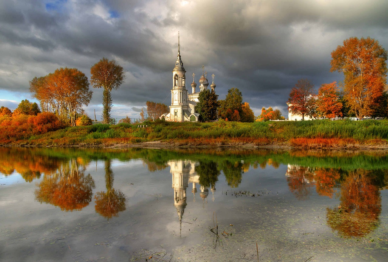 the scenery tree lake free photo