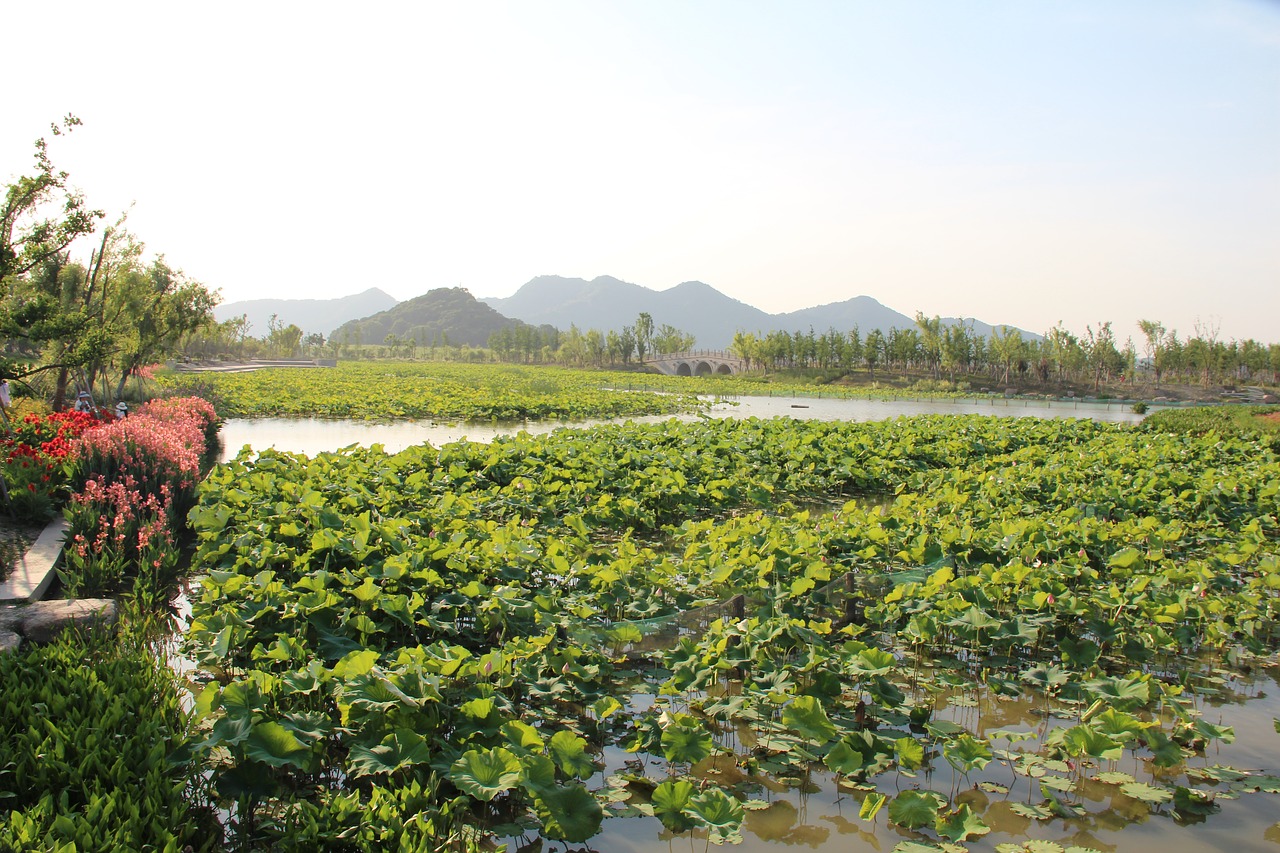 the scenery water spring free photo