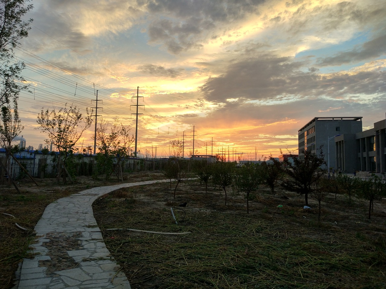 the scenery sunset cloud free photo