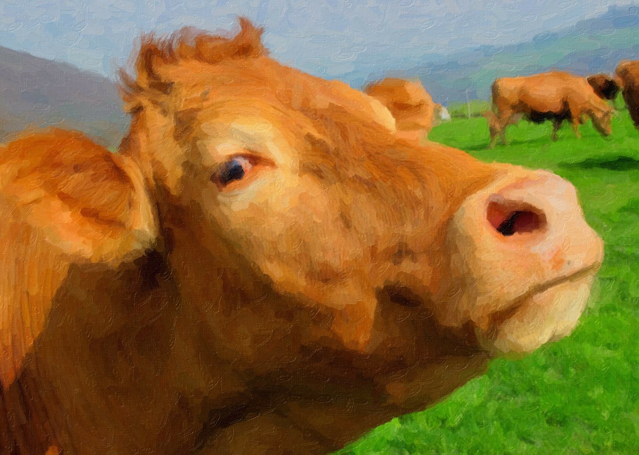 the scenery oil painting cow free photo