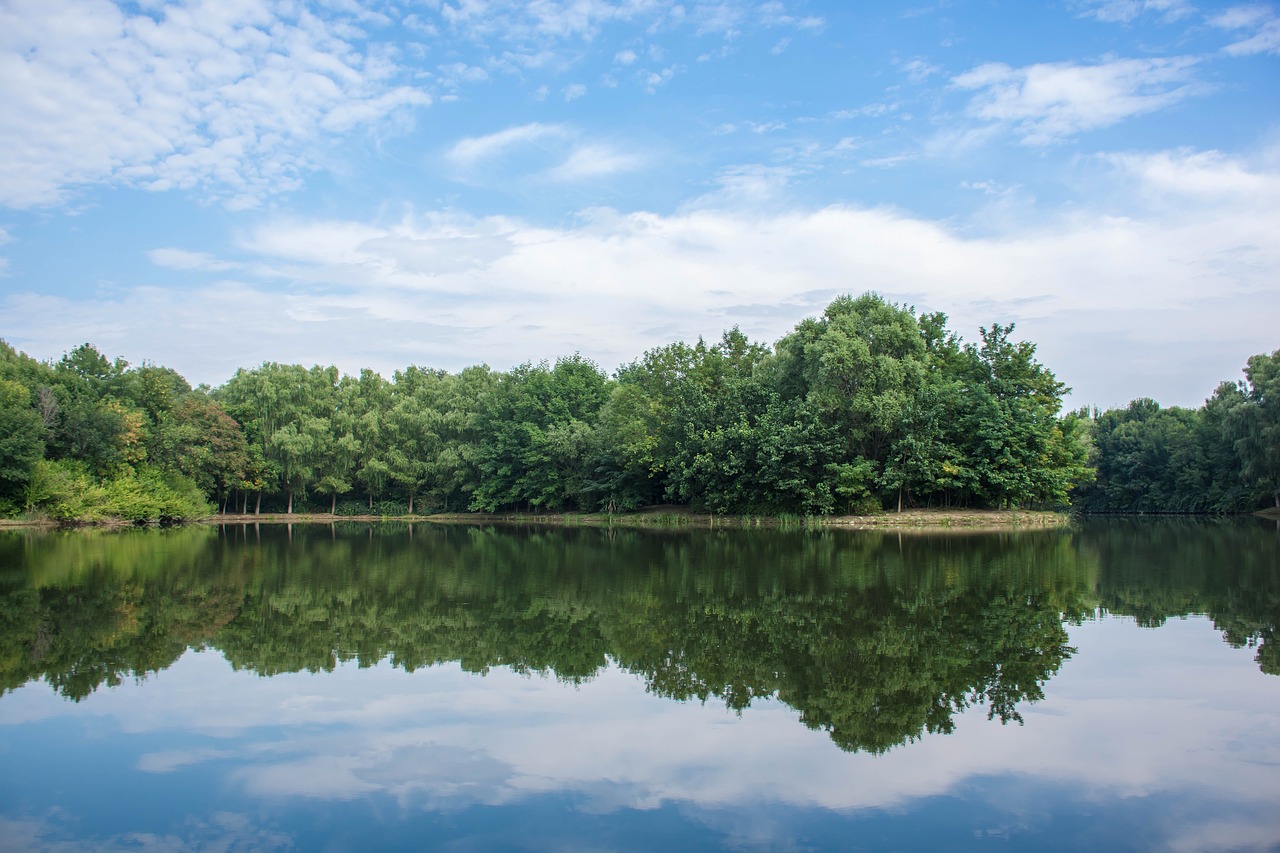 the scenery forest park free photo