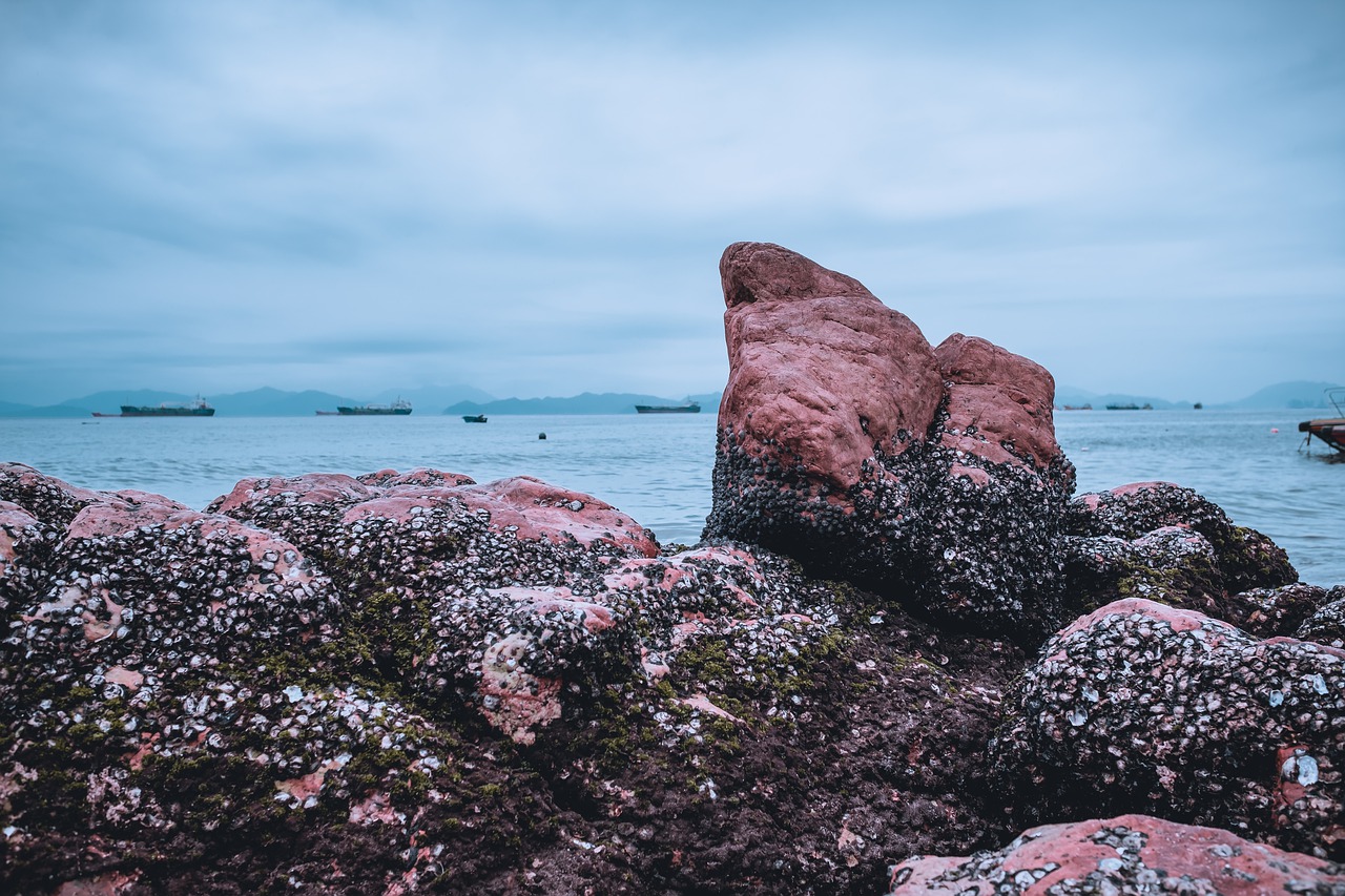 the scenery  beach  rock free photo