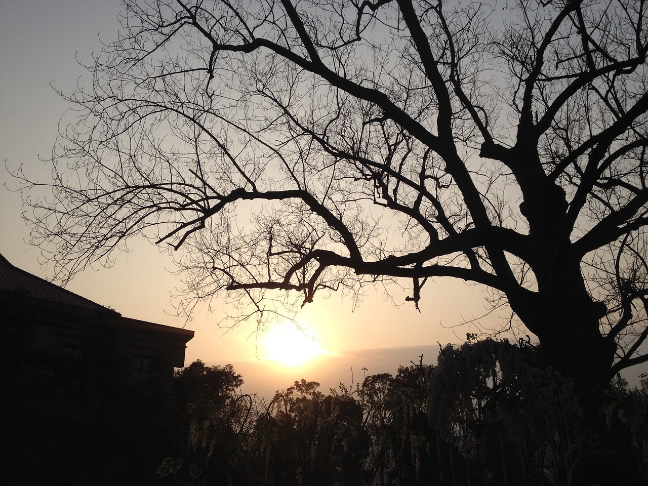 the scenery sunset silhouette free photo