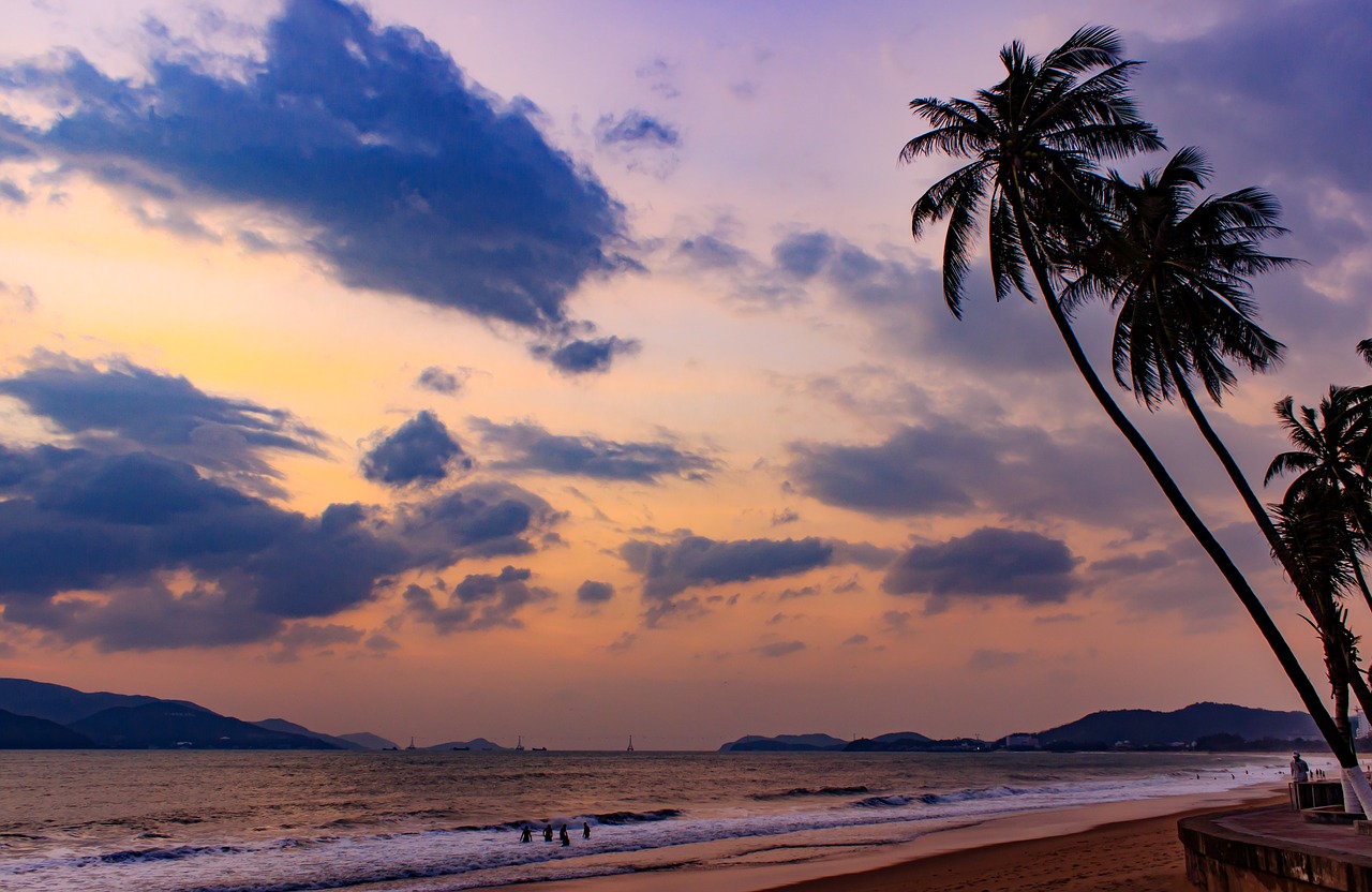 the sea tree melons free photo