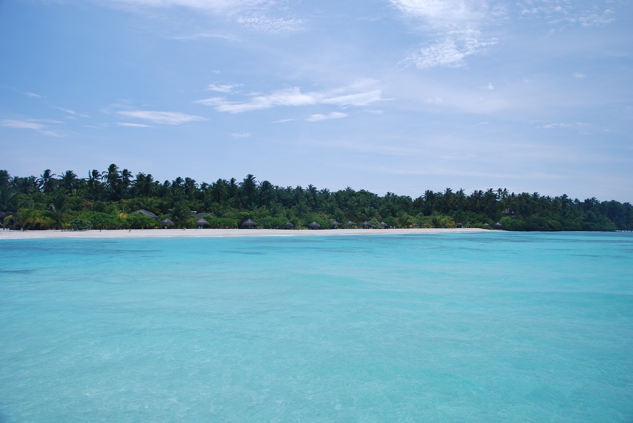 the sea maldives views free photo